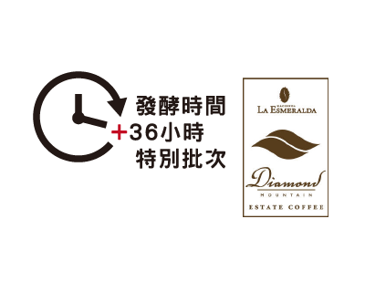 PANAMA La Esmeralda Diamond Mountain Natural 36 Hours of Fermentation